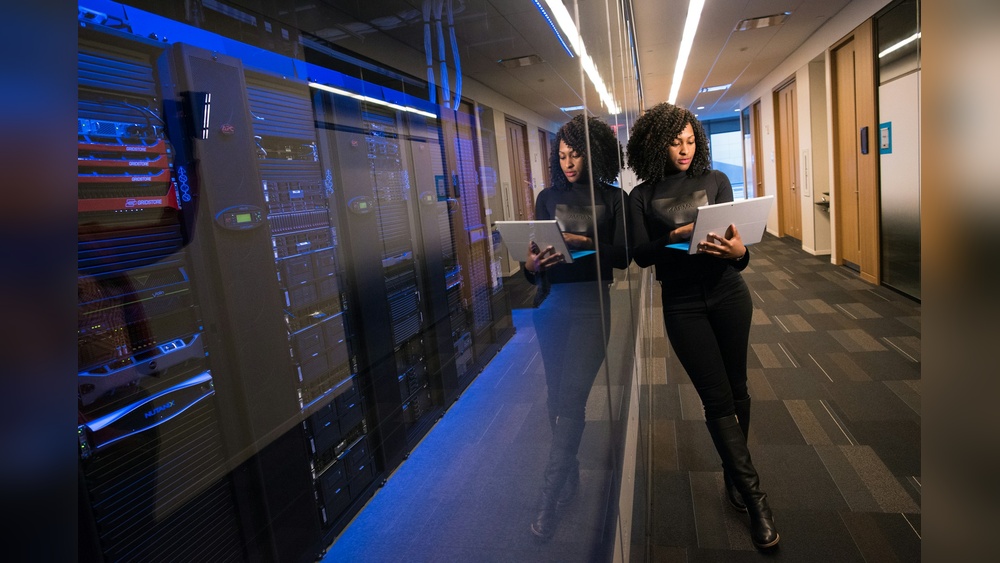 Gusto Vs Showboxed Payroll